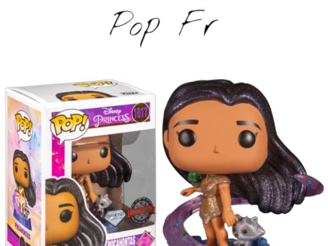 Comparez le prix de la Funko Pop Pocahontas avec ses compagnons à 16,00€ sur Team Pop Fr. Une figurine Disney au prix du marché.