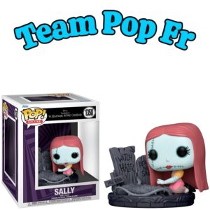 Figurine Funko Pop Disney Nightmare Before Christmas 30th - Sally n°1358 à 18,36€ / Comparez les meilleures offres du web sur Team Pop Fr.