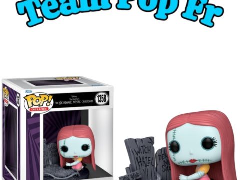 Funko Pop Disney Nightmare Before Christmas 30th – Sally n°1358 Figurine Funko Pop Disney Nightmare Before Christmas 30th - Sally n°1358 à 18,36€ / Comparez les meilleures offres du web sur Team Pop Fr.